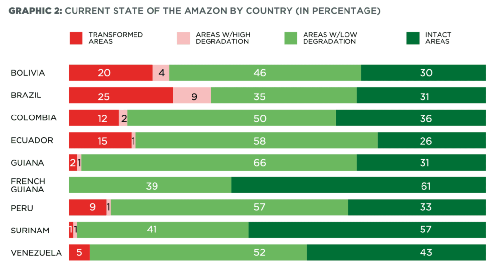 Graphic 2: Current state of the Amazon by country (in percentage) Image credit: RAISG